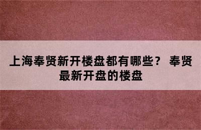 上海奉贤新开楼盘都有哪些？ 奉贤最新开盘的楼盘